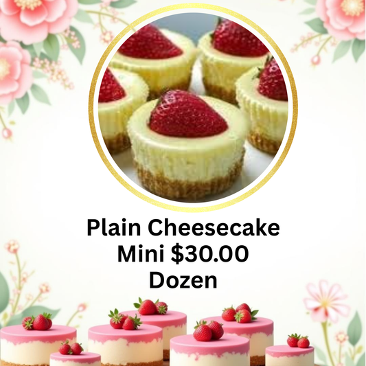 Mini Plain